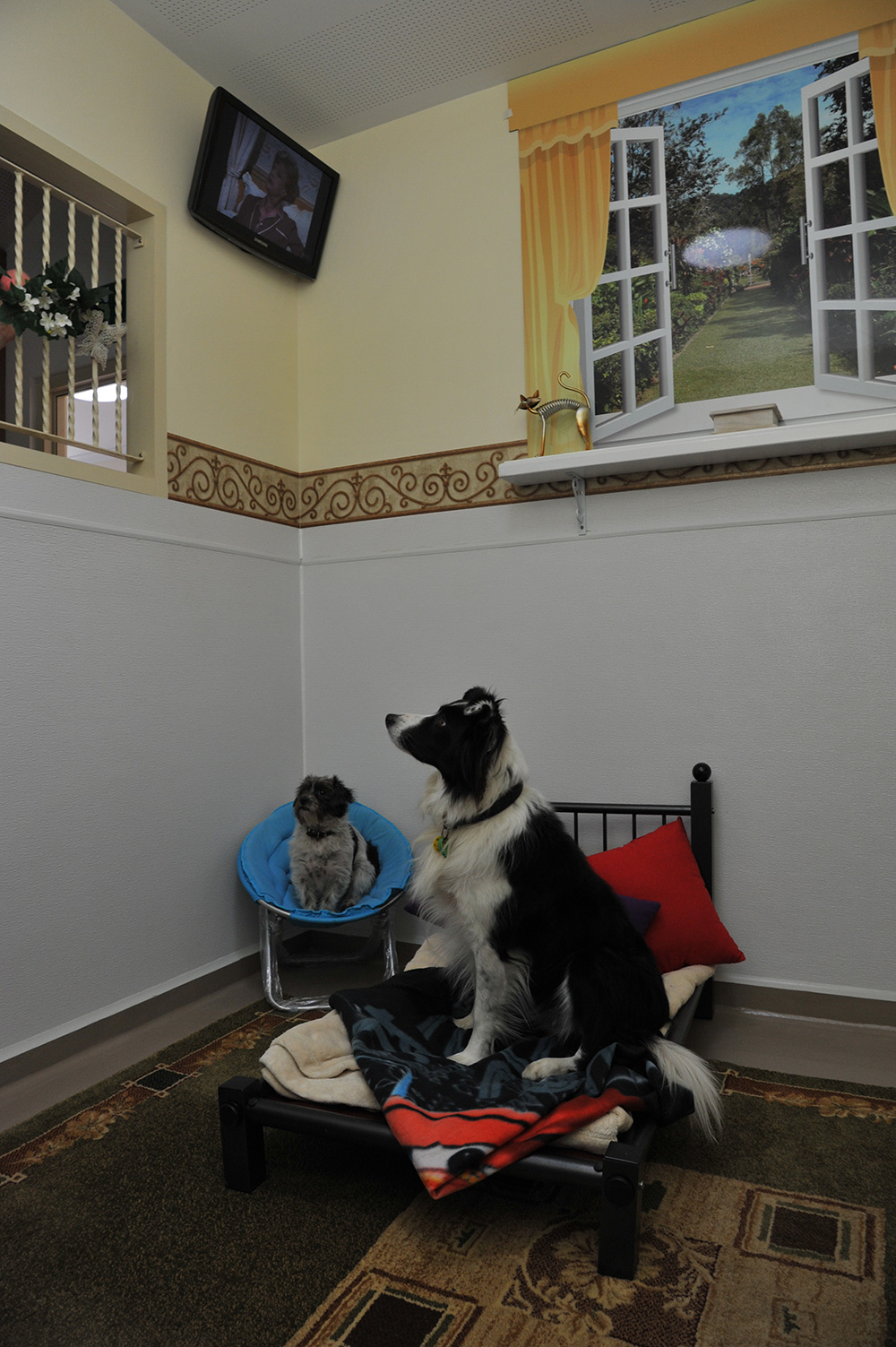 Kennels Kepala Pet Resort & Canine Country Club