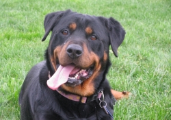 AUG 10 CUST PICTS 2 205