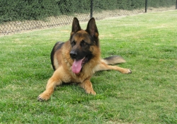 MAY 10 CUST PICTS 026