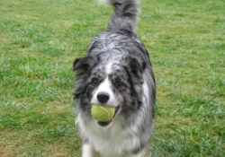 MAY 10 CUST PICTS 2 043