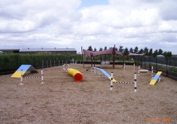 agility park