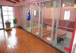 kennel