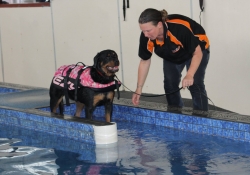 10257234_898891030153757_230987054957033598_o