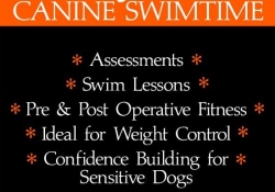 10349077_10152192274781527_7436548032558395761_n