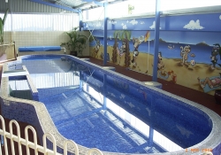Indoor Pool Pict