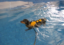 MAY 10 CUST PICTS 033