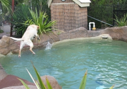 MAY 10 CUST PICTS 109